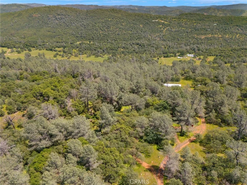 4 Oregon Gulch