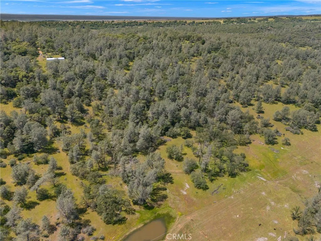 4 Oregon Gulch