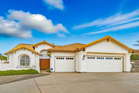 Photo of 470 Chestnut Roan Dr, Alpine, CA 91901 (MLS # 250042020)