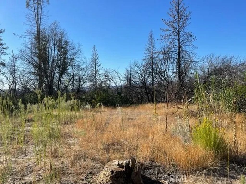 Photo of 55 Cedar Tree Ln, Oroville, CA 95966 (MLS # OR26107390)