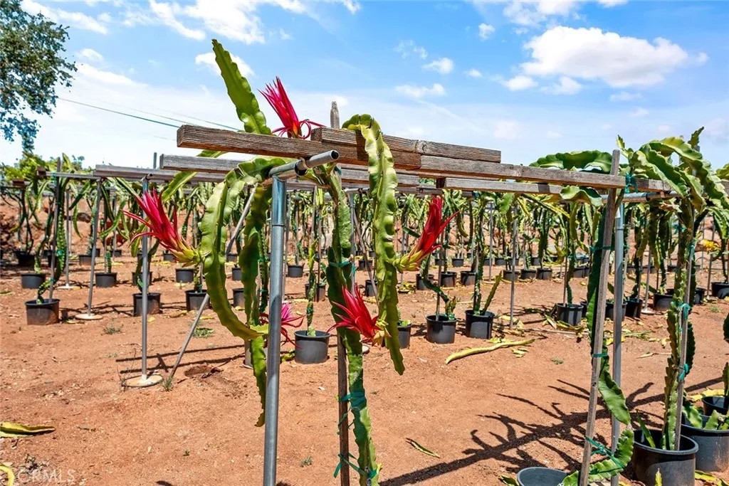 1996 Rainbow Glen Road