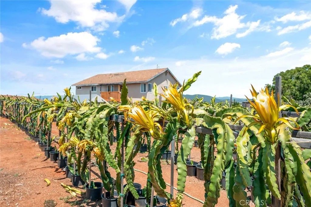 Photo of 1996 Rainbow Glen Road, Fallbrook, CA 92028 (MLS # SW25130066)