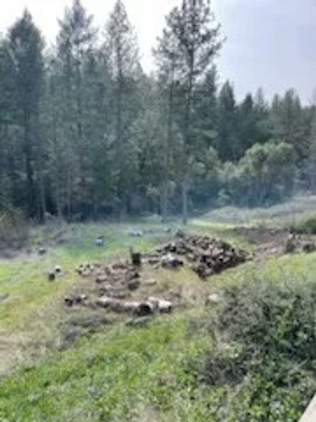 Photo of 178 Bloomer Hill Rd, Berry Creek, CA 95916 (MLS # SN26048919)