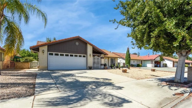 2115 Flame Tree