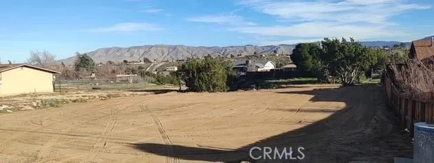 0 Cholla
