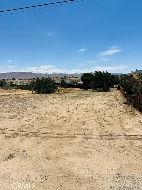 0 Cholla