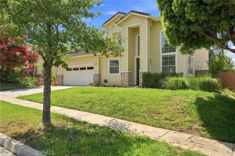 4128 Crooked Stick