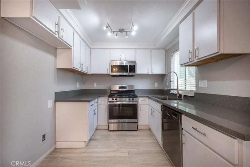 16262 Tokay