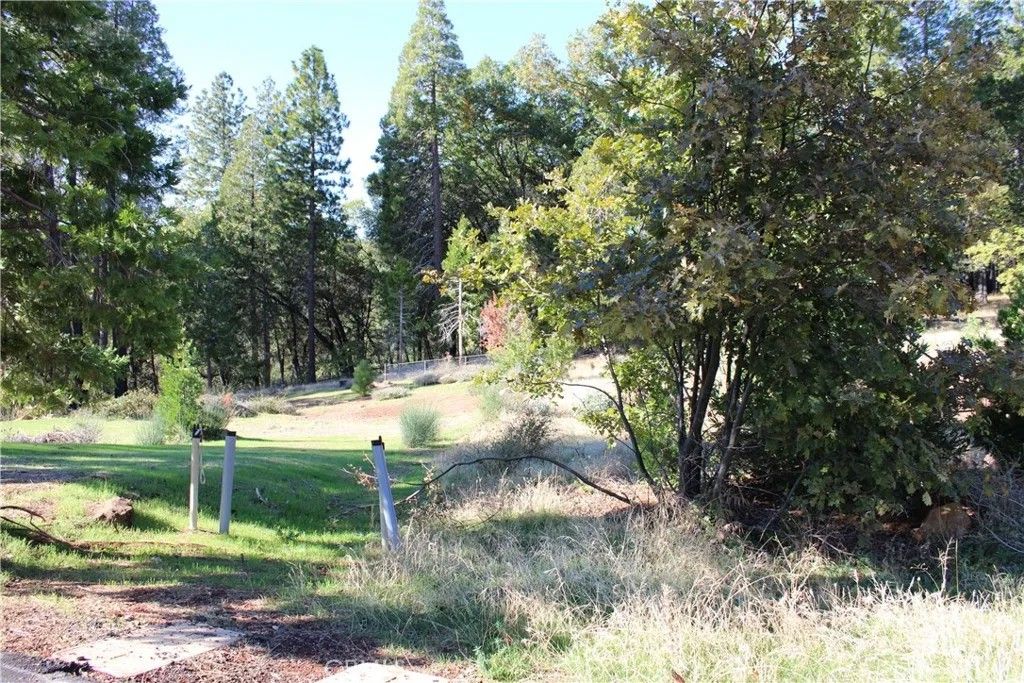 Photo of 13911 Cluster Ct, Magalia, CA 95954 (MLS # SN25248391)