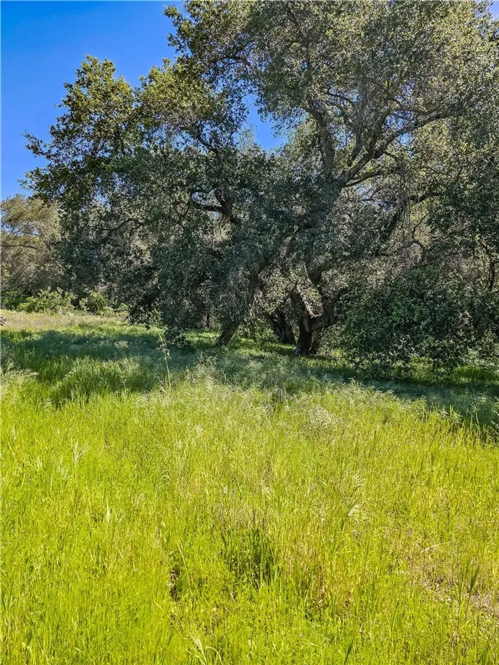 Photo of 93706 Via Escondido, Temecula, CA 92590 (MLS # SB26056159)