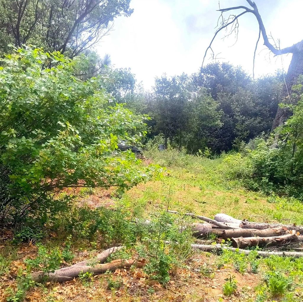 Photo of 000 Smokey Lane, Julian, CA 92036 (MLS # 260008858)