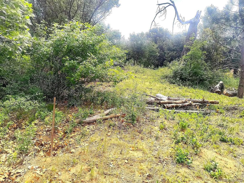 Photo of 000 Smokey Lane, Julian, CA 92036 (MLS # 260008858)