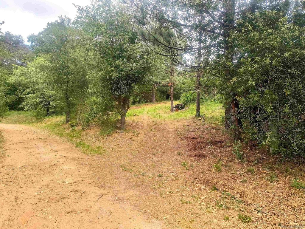 Photo of 000 Smokey Lane, Julian, CA 92036 (MLS # 260008858)