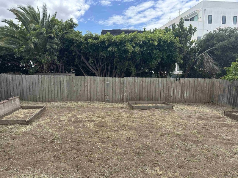 8245 Orchard
