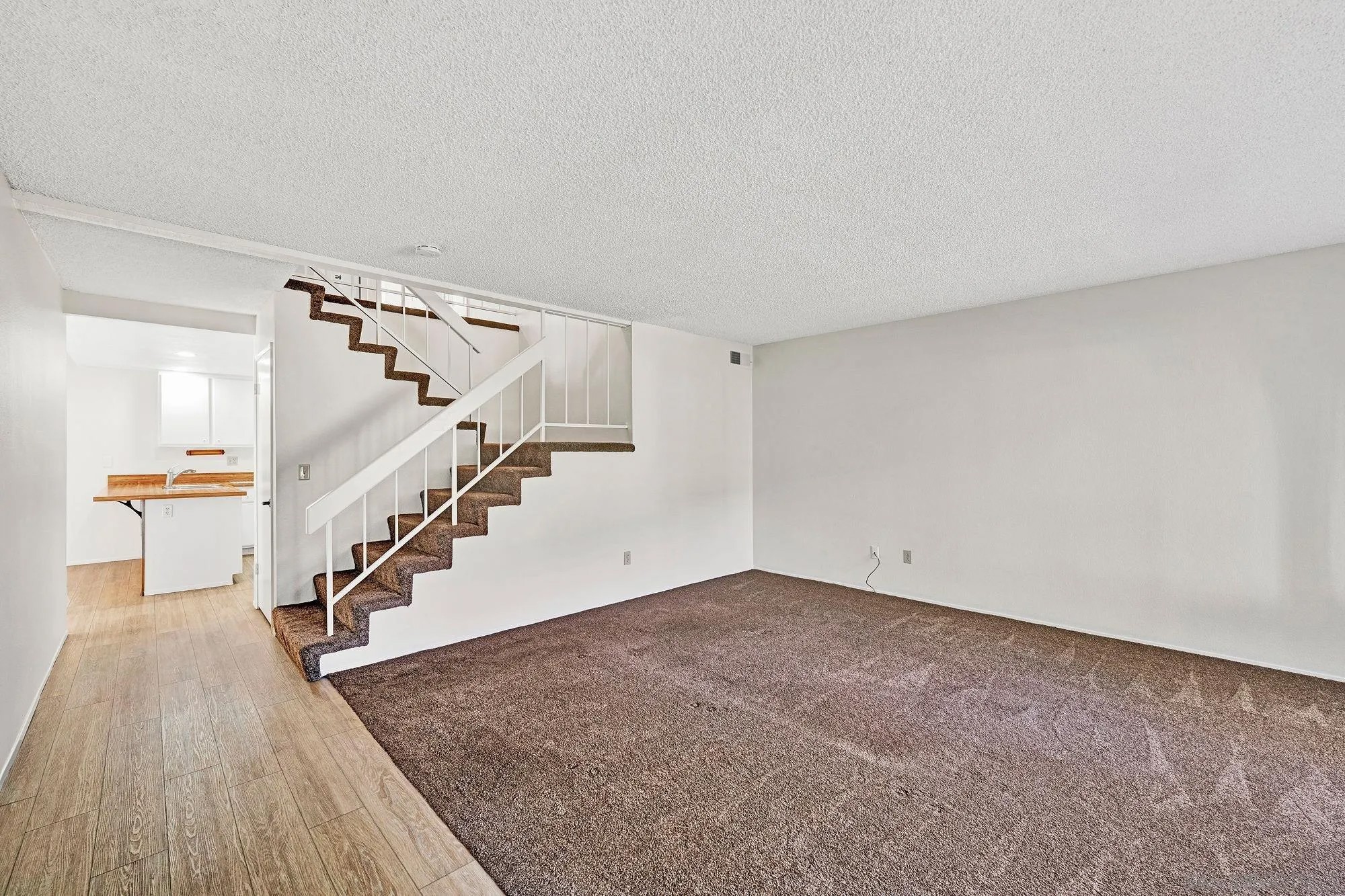 9788 Canforero Terrace