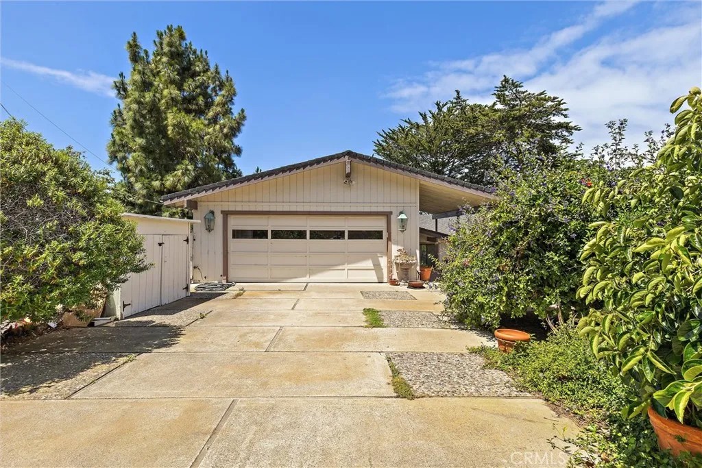 2991 Juniper