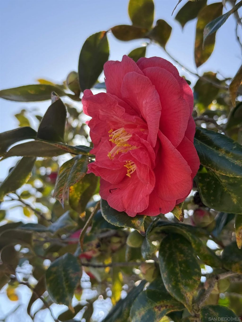 Photo of 3280 Towser St, San Diego, CA 92123 (MLS # 260002351)