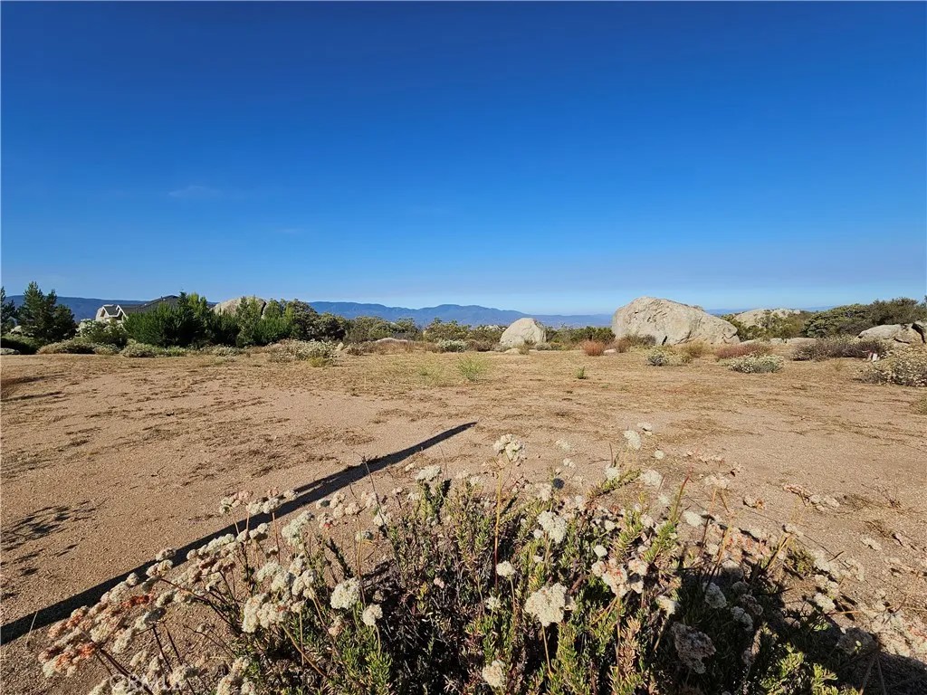 41173 Rocky Valley
