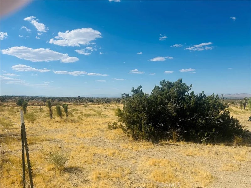 0 COR FORT TEJON DRT 230