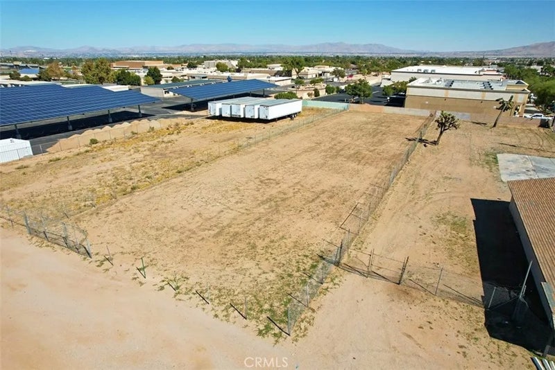 25 Tamarisk