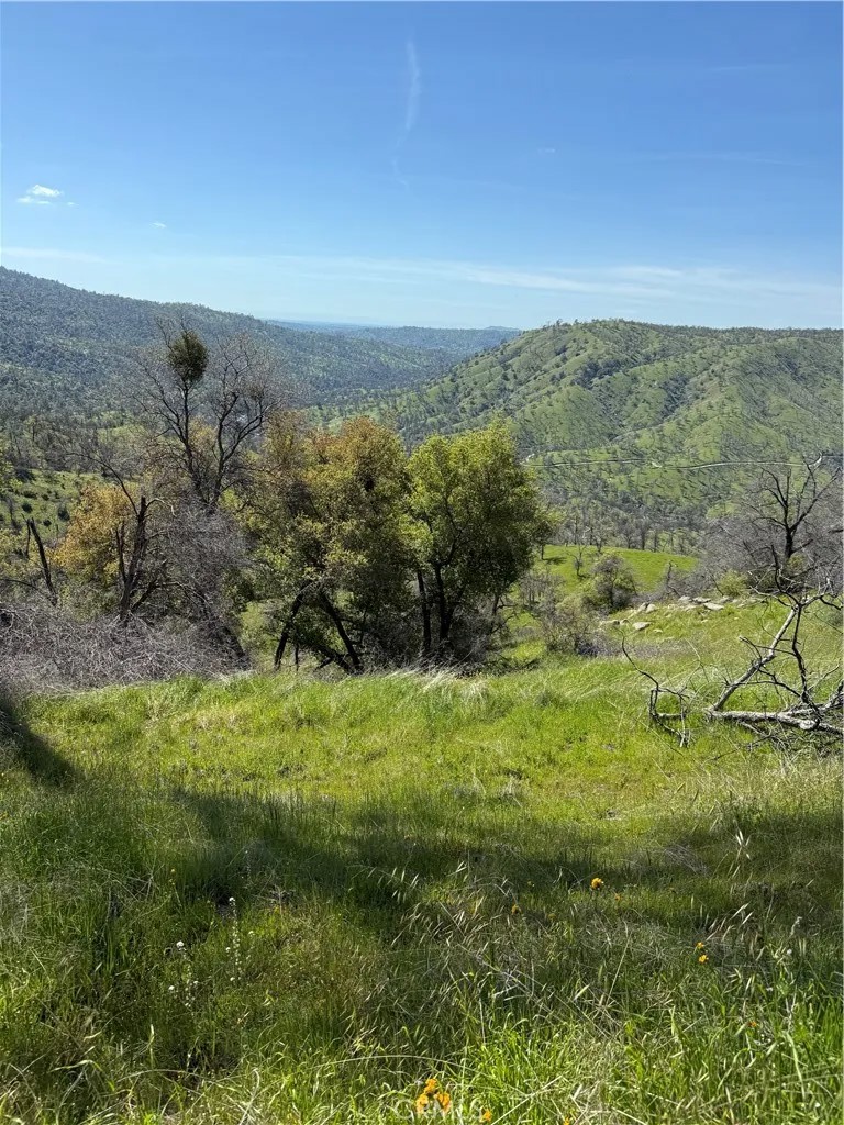 38914 Road 810