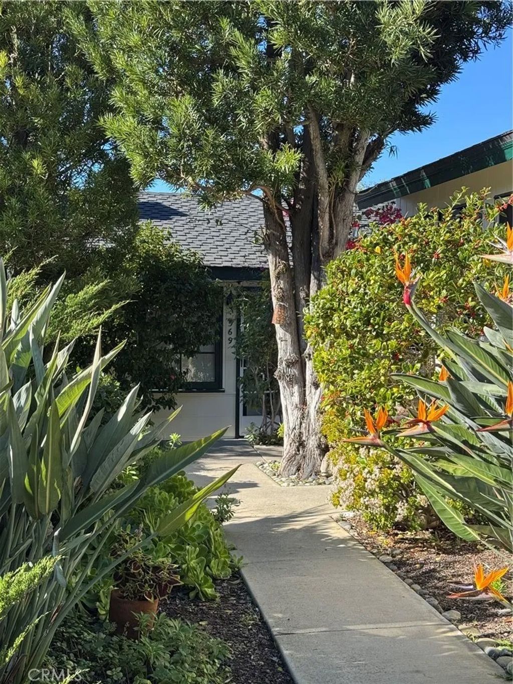 Photo of 569 Blumont St, Laguna Beach, CA 92651 (MLS # OC26009445)