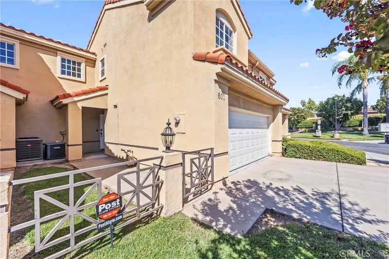 607 Wild Rose