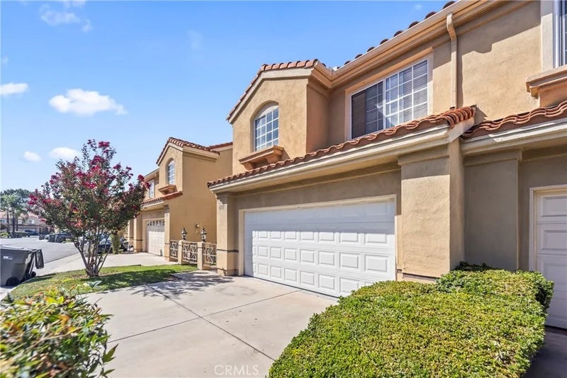 607 Wild Rose