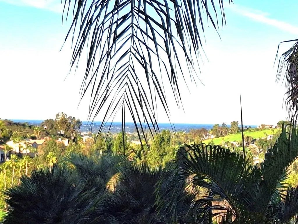 3630 Blue Bird Canyon Road