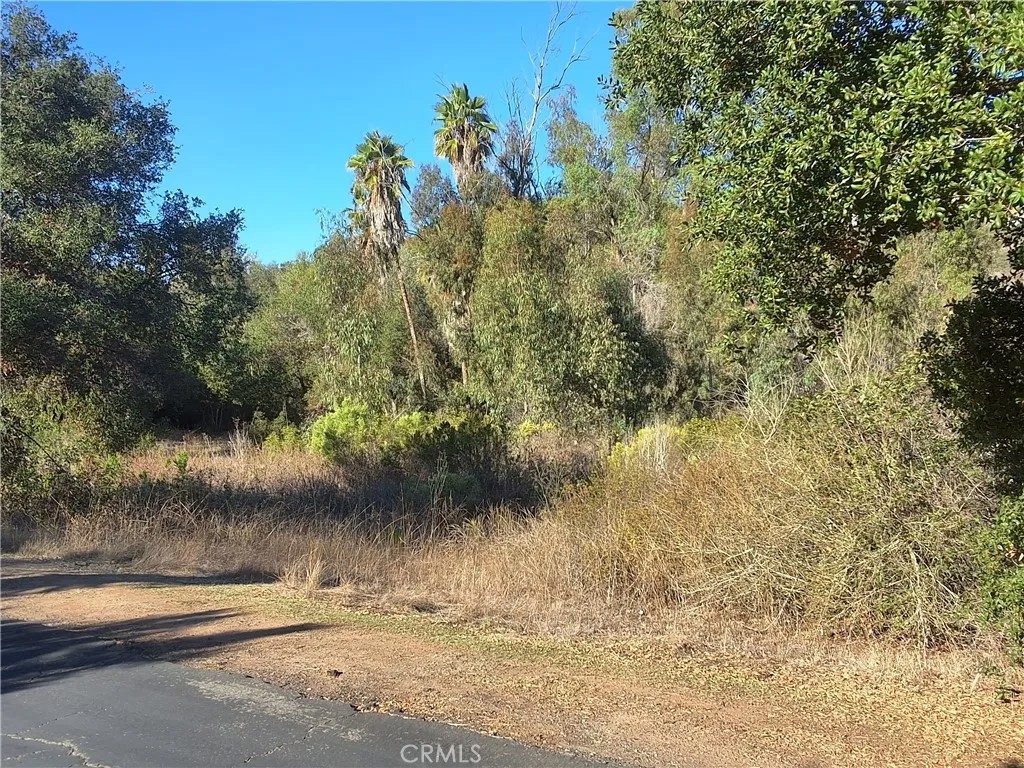 0 Via Puerta Del Sol