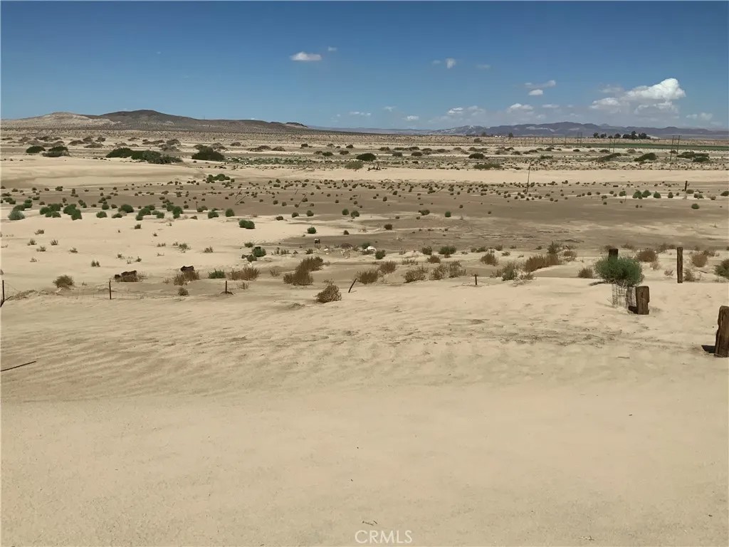 45962 Palma Vista