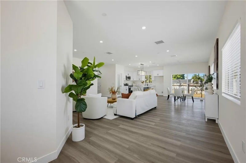 24732 Eucalyptus
