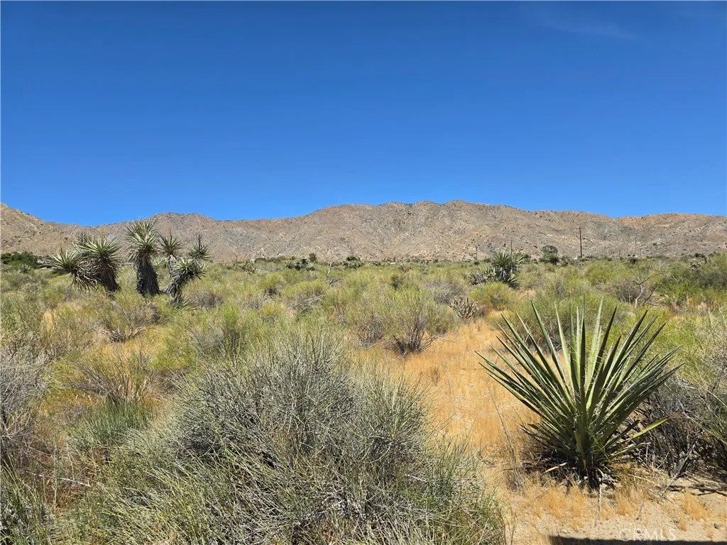 Photo of 5 Apache, Morongo Valley, CA 92256 (MLS # JT26089077)