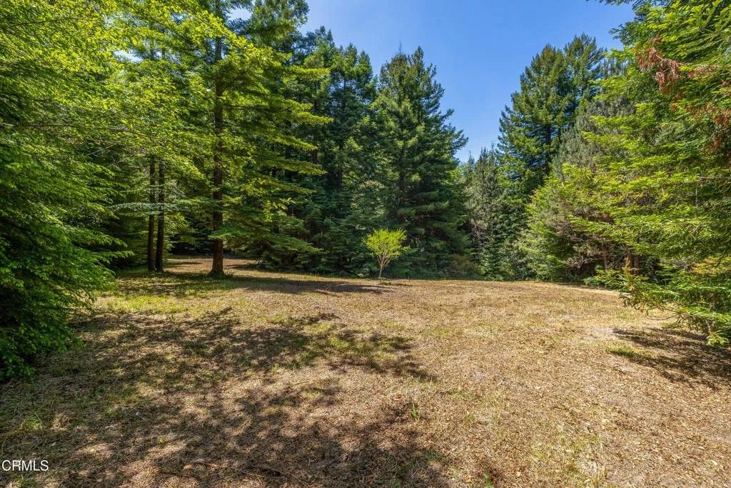 Photo of 15620 Shane Dr, Fort Bragg, CA 95437 (MLS # C1-11406)