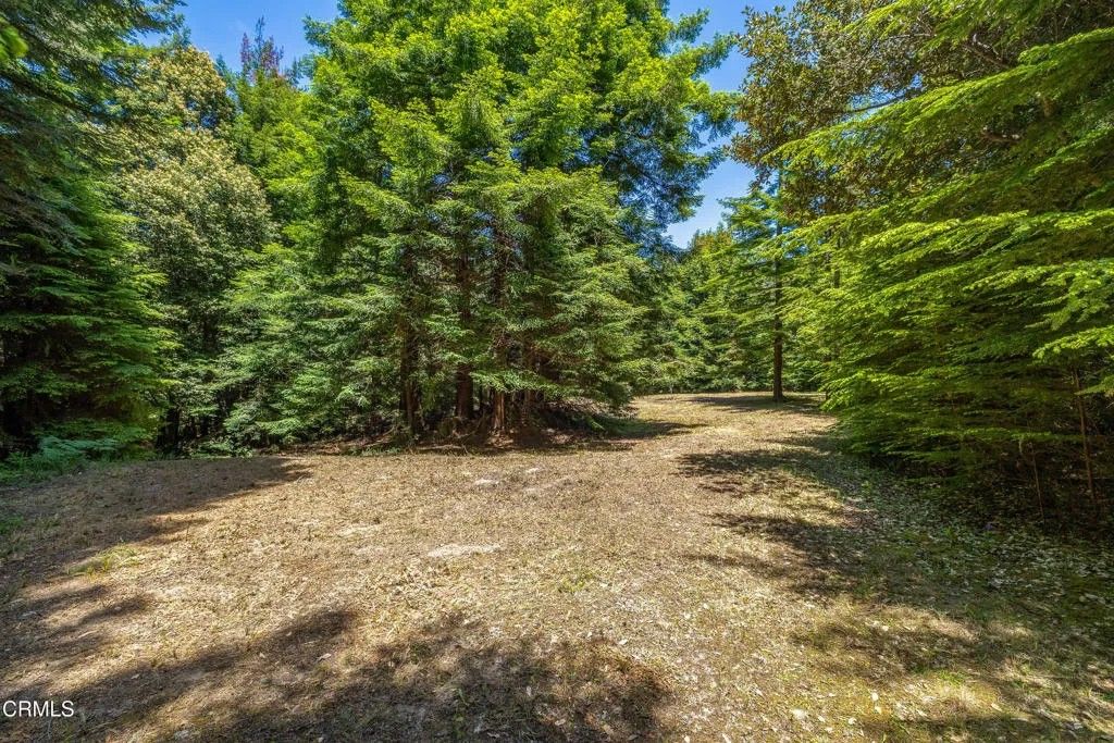 Photo of 15620 Shane Dr, Fort Bragg, CA 95437 (MLS # C1-11406)