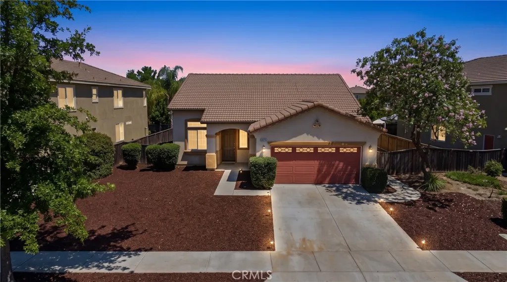 33675 Carnation