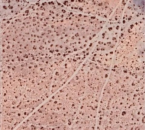 0 0 Helendale CA 92342