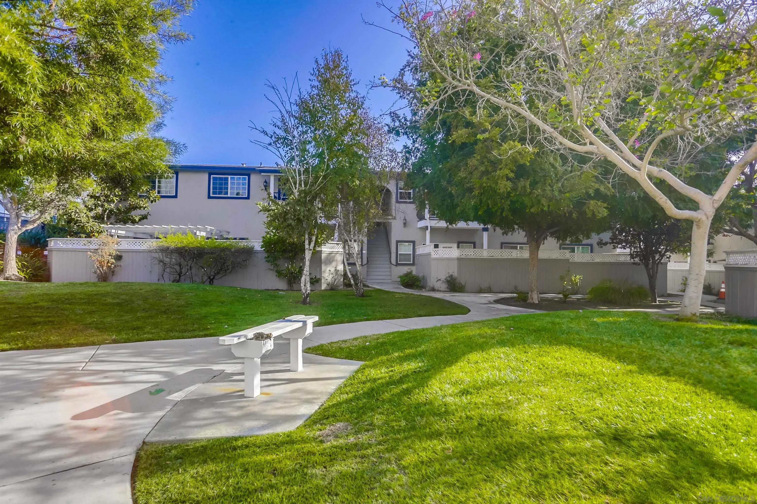 506 Canyon 5