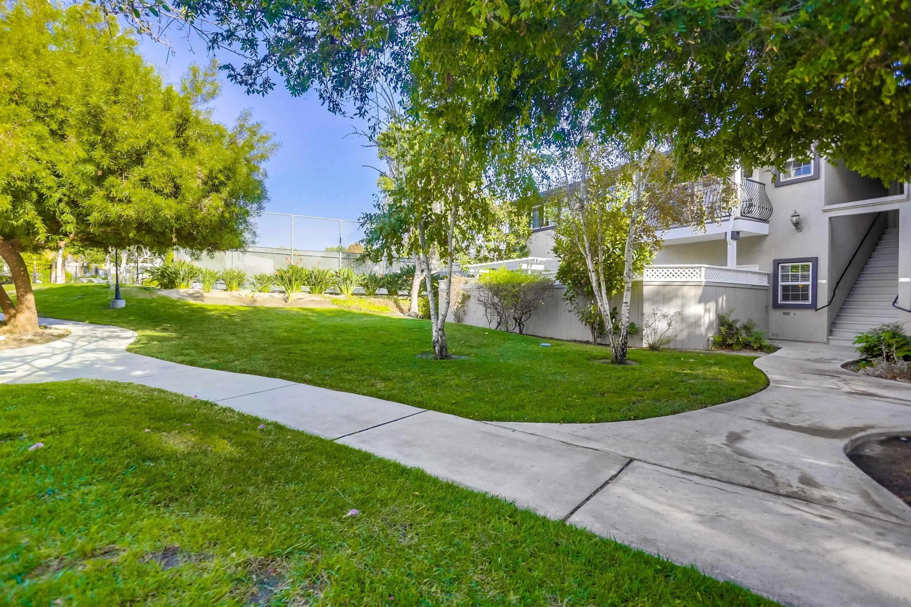 506 Canyon 5