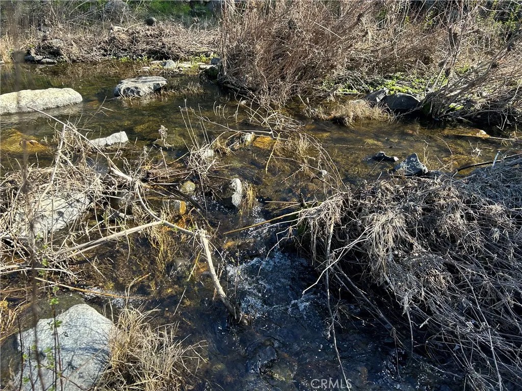 3209 Silver Bush