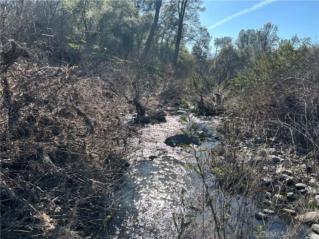 Photo of 3209 Silver Bush Pl, Catheys Valley, CA 95306 (MLS # MP26018555)