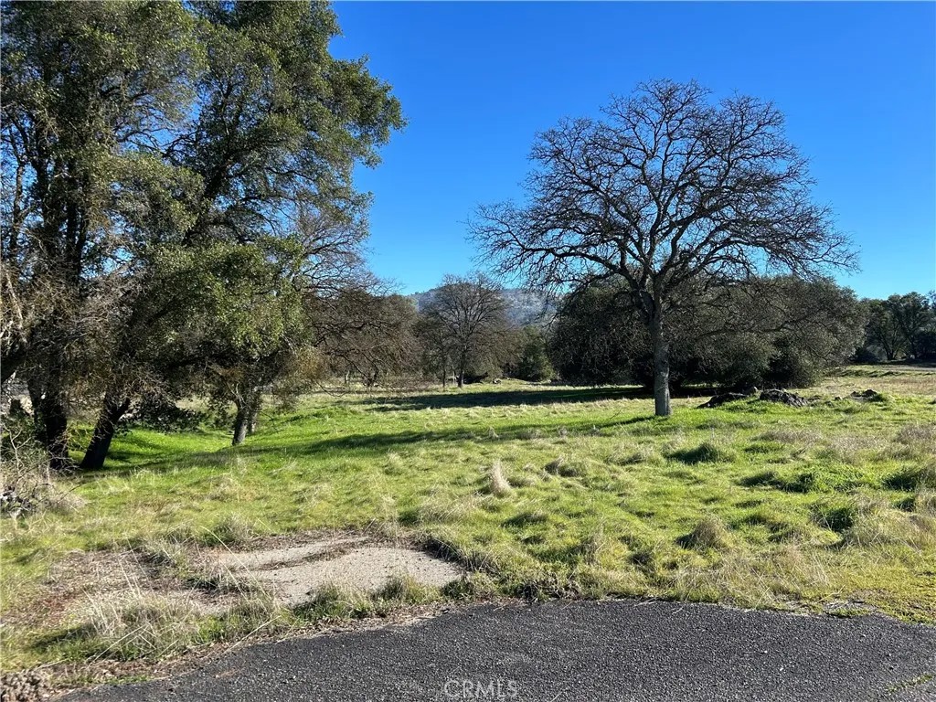 3209 Silver Bush