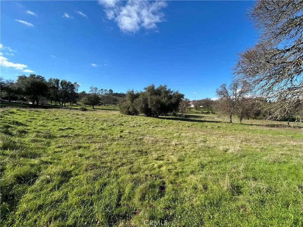 Photo of 3209 Silver Bush Pl, Catheys Valley, CA 95306 (MLS # MP26018555)