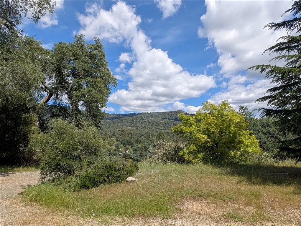 42478 Nelder Heights