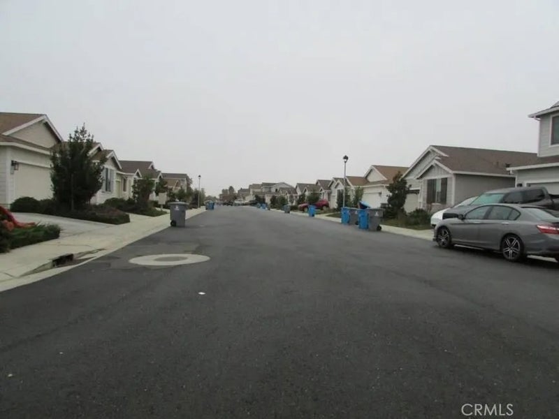 5676 Peach Tree