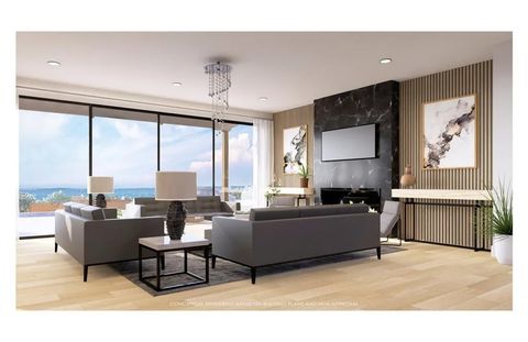 6 Tasman Sea Newport Coast CA 92657