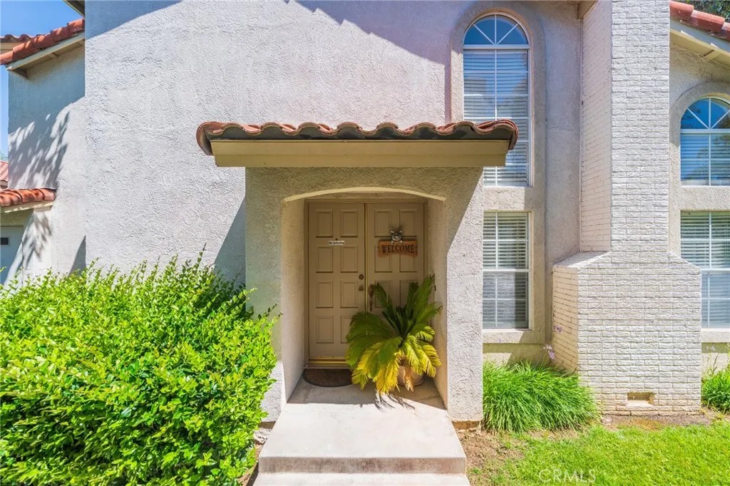38 Carnation