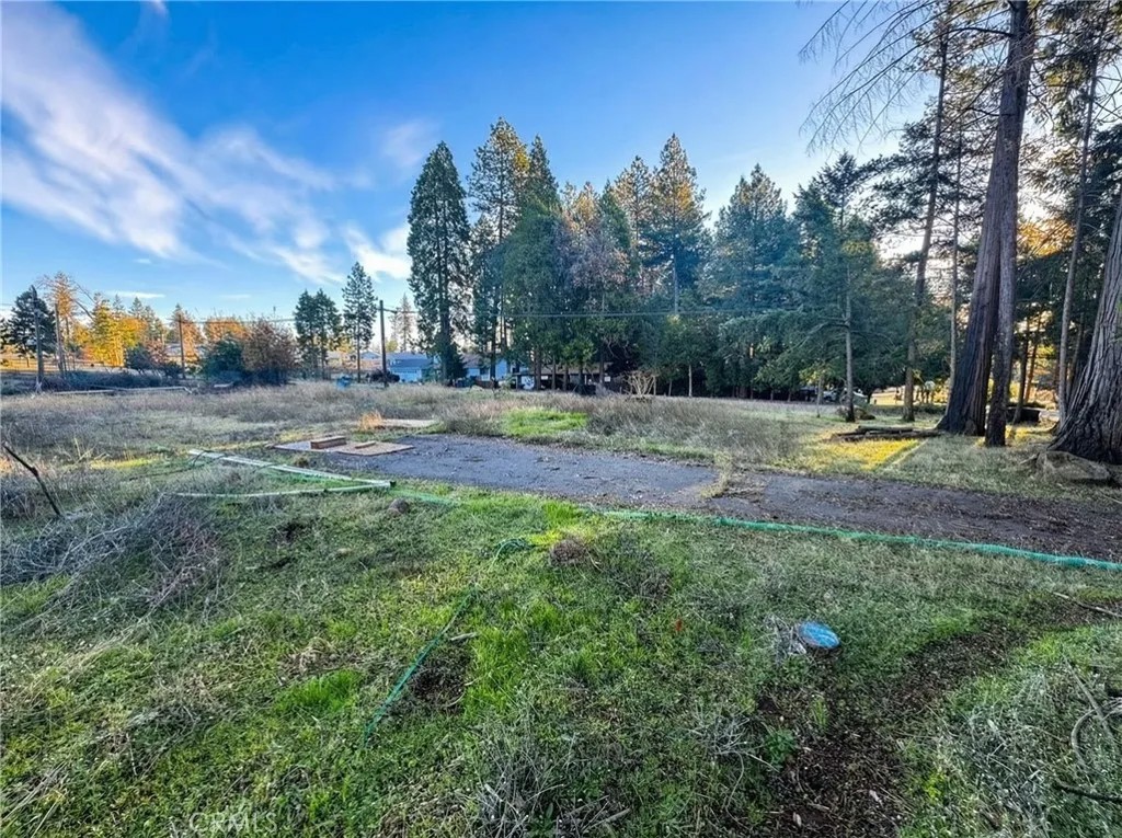 14105 Creston