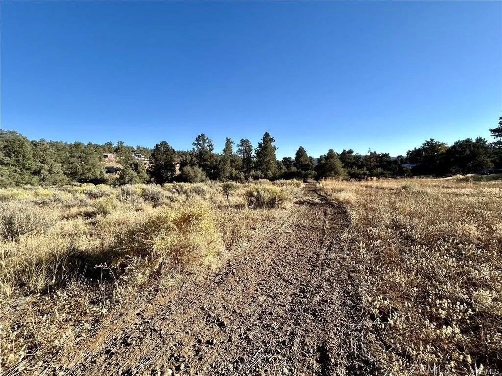 Photo of 0 Delancy, Frazier Park, CA 93225 (MLS # SR26116551)