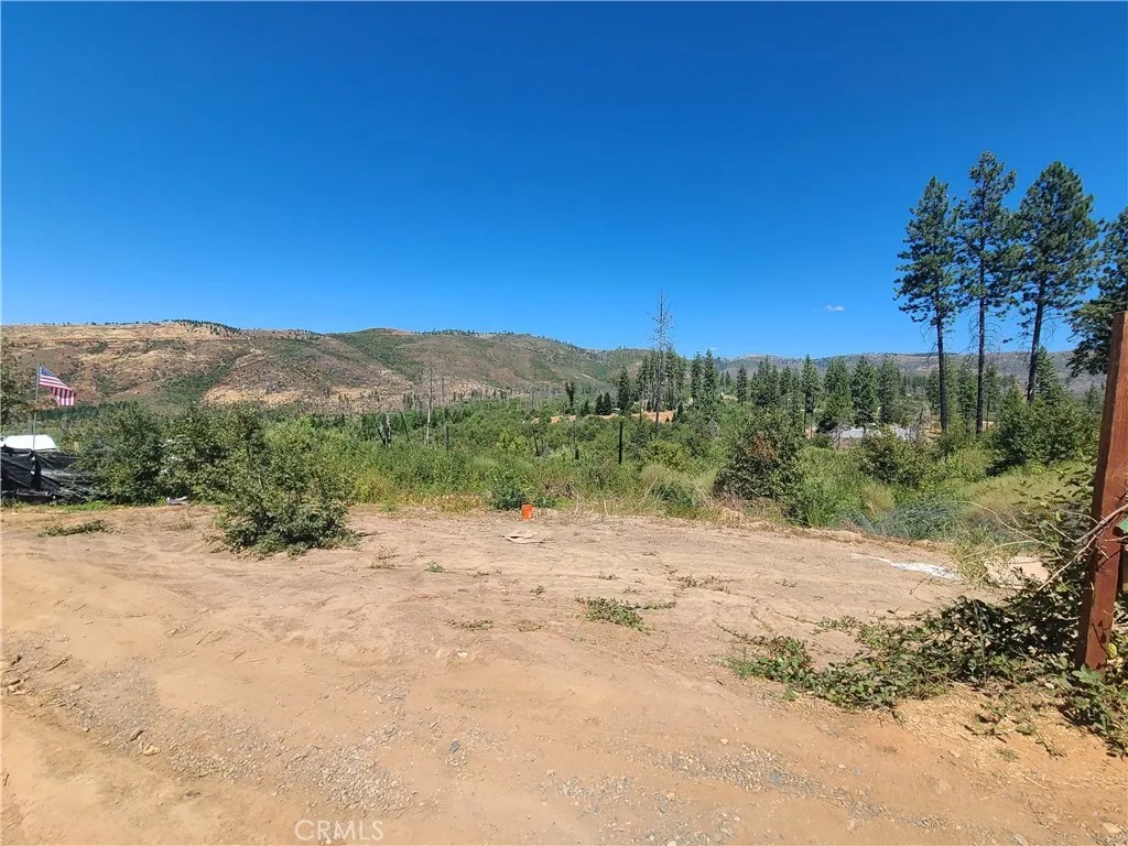13338 Hog Ranch